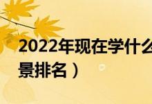 2022年现在学什么专业好（十大专业就业前景排名）