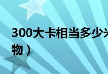 300大卡相当多少米饭（300大卡相当多少食物）