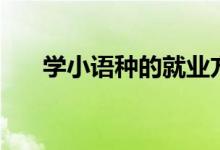 学小语种的就业方向（毕业能干什么）