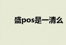 盛pos是一清么（盛pos是一清机吗）