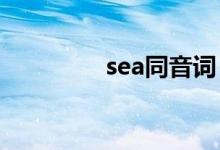 sea同音词（seat的用法）