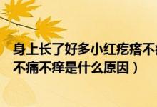 身上长了好多小红疙瘩不痛不痒怎么回事（身上长小红疙瘩不痛不痒是什么原因）