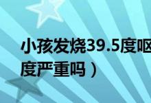 小孩发烧39.5度呕吐怎么办（小孩发烧39.5度严重吗）