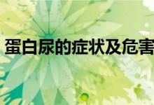 蛋白尿的症状及危害（蛋白尿的症状及危害）