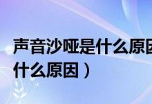 声音沙哑是什么原因用什么药呢（声音沙哑是什么原因）