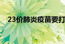 23价肺炎疫苗要打吗（23价肺炎是什么）