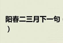 阳春二三月下一句（阳春二三月下一句是什么）