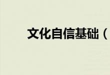 文化自信基础（文化自信基本内容）