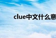 clue中文什么意思（clue中文意思）