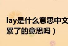 lay是什么意思中文翻译动词意思（我lay了是累了的意思吗）