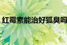 红霉素能治好狐臭吗（红霉素能治好肛裂吗）