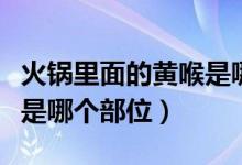 火锅里面的黄喉是哪个部位（火锅里面的黄喉是哪个部位）