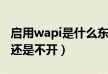 启用wapi是什么东西（wapi是什么东西要开还是不开）