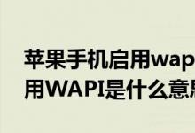 苹果手机启用wapi是什么东西（苹果手机启用WAPI是什么意思）