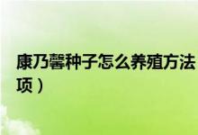 康乃馨种子怎么养殖方法（康乃馨种子的种植方法和注意事项）