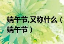 端午节,又称什么（端午节又称什么节 什么是端午节）