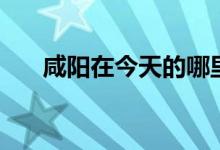 咸阳在今天的哪里（咸阳在今哪个省）