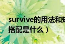 survive的用法和短语（survive用法及短语搭配是什么）