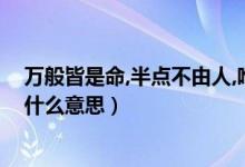 万般皆是命,半点不由人,唯有自渡（万般皆是命唯有人自渡什么意思）