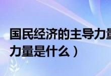 国民经济的主导力量和支柱（国民经济的主导力量是什么）