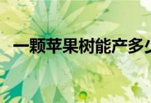 一颗苹果树能产多少果（一颗苹果多少克）