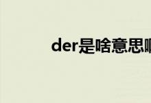 der是啥意思啊（der是啥意思）