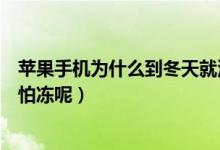 苹果手机为什么到冬天就没电了（苹果手机为什么到冬天就怕冻呢）