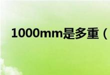 1000mm是多重（1000mm是多少厘米）