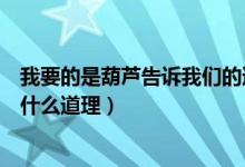 我要的是葫芦告诉我们的道理是（我要的是葫芦告诉了我们什么道理）