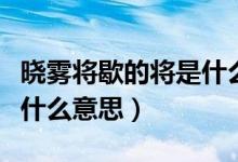 晓雾将歇的将是什么意思啊（晓雾将歇的将是什么意思）