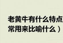 老黄牛有什么特点,可以比喻什么（老黄牛通常用来比喻什么）