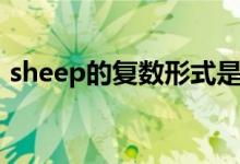 sheep的复数形式是啥（sheep的复数形式）