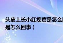 头皮上长小红疙瘩是怎么回事用什么药（头皮上长小红疙瘩是怎么回事）