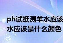 ph试纸测羊水应该是什么颜色（ph试纸测羊水应该是什么颜色）