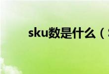 sku数是什么（SKU数是什么意思）