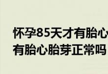 怀孕85天才有胎心胎芽怎么办（怀孕85天才有胎心胎芽正常吗）