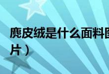 麂皮绒是什么面料图片（麂皮绒是什么面料图片）