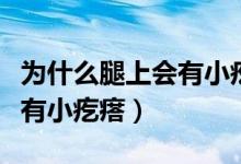 为什么腿上会有小疙瘩会长毛（为什么腿上会有小疙瘩）