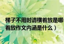 梯子不用时请横着放是哪一年的高考作文（梯子不用时请横着放作文内涵是什么）