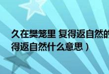 久在樊笼里 复得返自然的樊笼是什么意思（久在樊笼里 复得返自然什么意思）