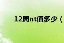 12周nt值多少（12周nt值多少正常）