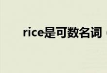 rice是可数名词（rice是可数名词吗）