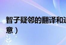 智子疑邻的翻译和道理（智子疑邻的翻译及寓意）