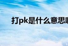 打pk是什么意思啊（打pk是什么意思）