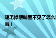 睫毛掉眼睛里不见了怎么回事（睫毛掉眼睛里不见了怎么回事）