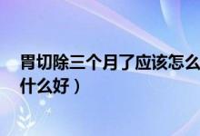 胃切除三个月了应该怎么吃饭（胃大切除术后3个月食谱吃什么好）