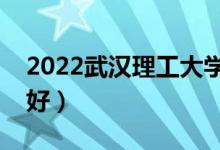 2022武汉理工大学专业排名（哪些专业比较好）