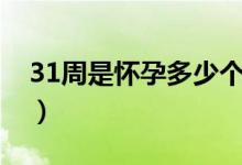 31周是怀孕多少个月啊（31周是怀孕几个月）