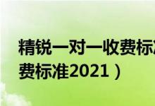 精锐一对一收费标准2020年（精锐一对一收费标准2021）