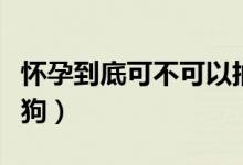 怀孕到底可不可以抽烟（怀孕到底可不可以养狗）